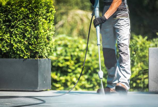 Best Sidewalk and Walkway Cleaning  in Indialantic, FL